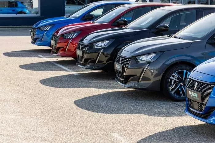 Véhicules Peugeot, Saint-Clair-du-Rhône, Groupe BONNETON